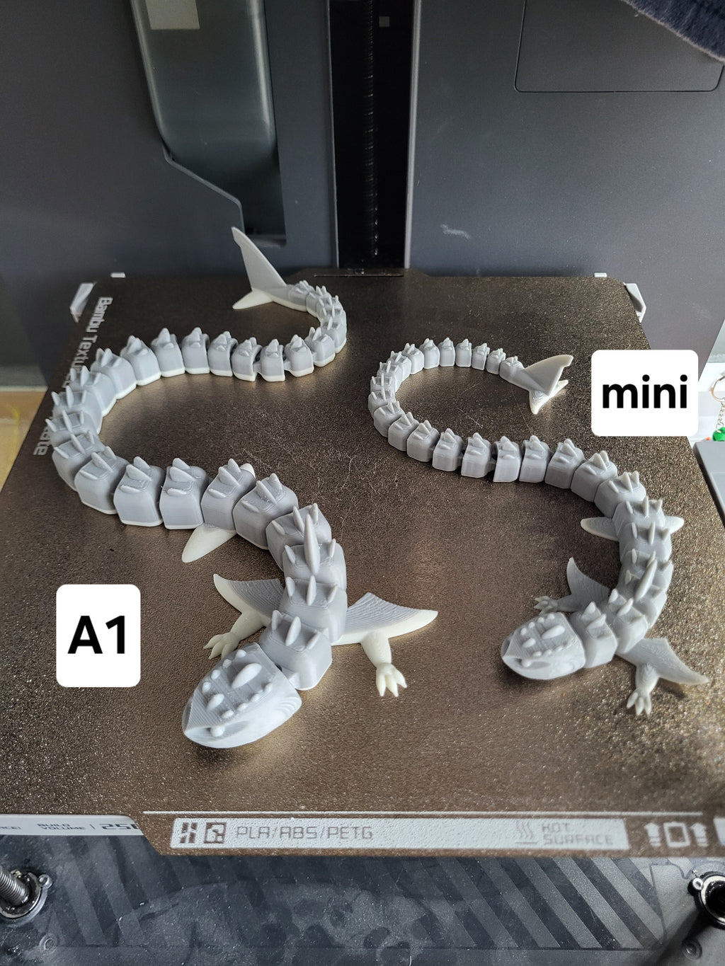 shark dragon articulated