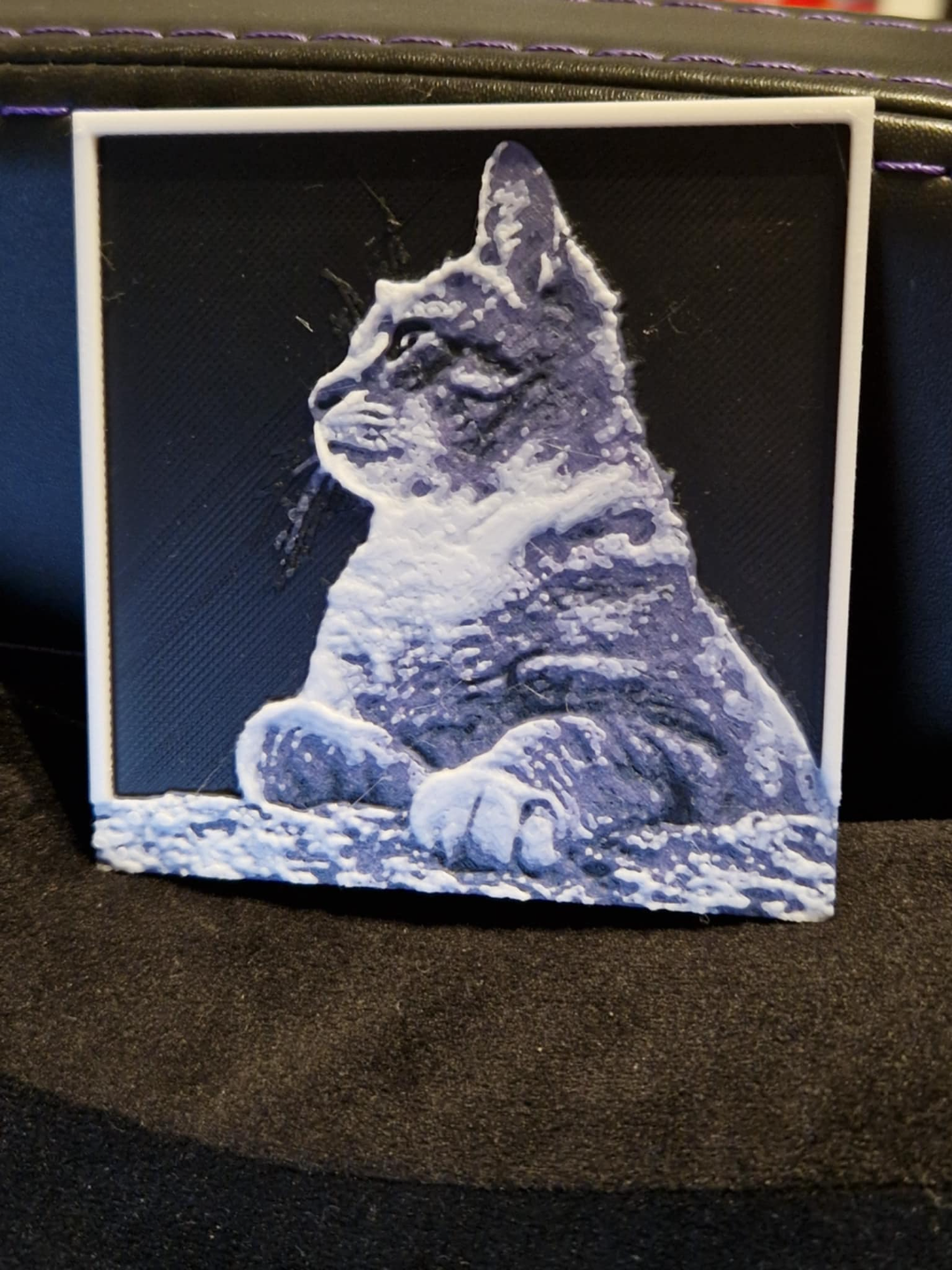 Cat side profile 3d/2d picture small with frame
