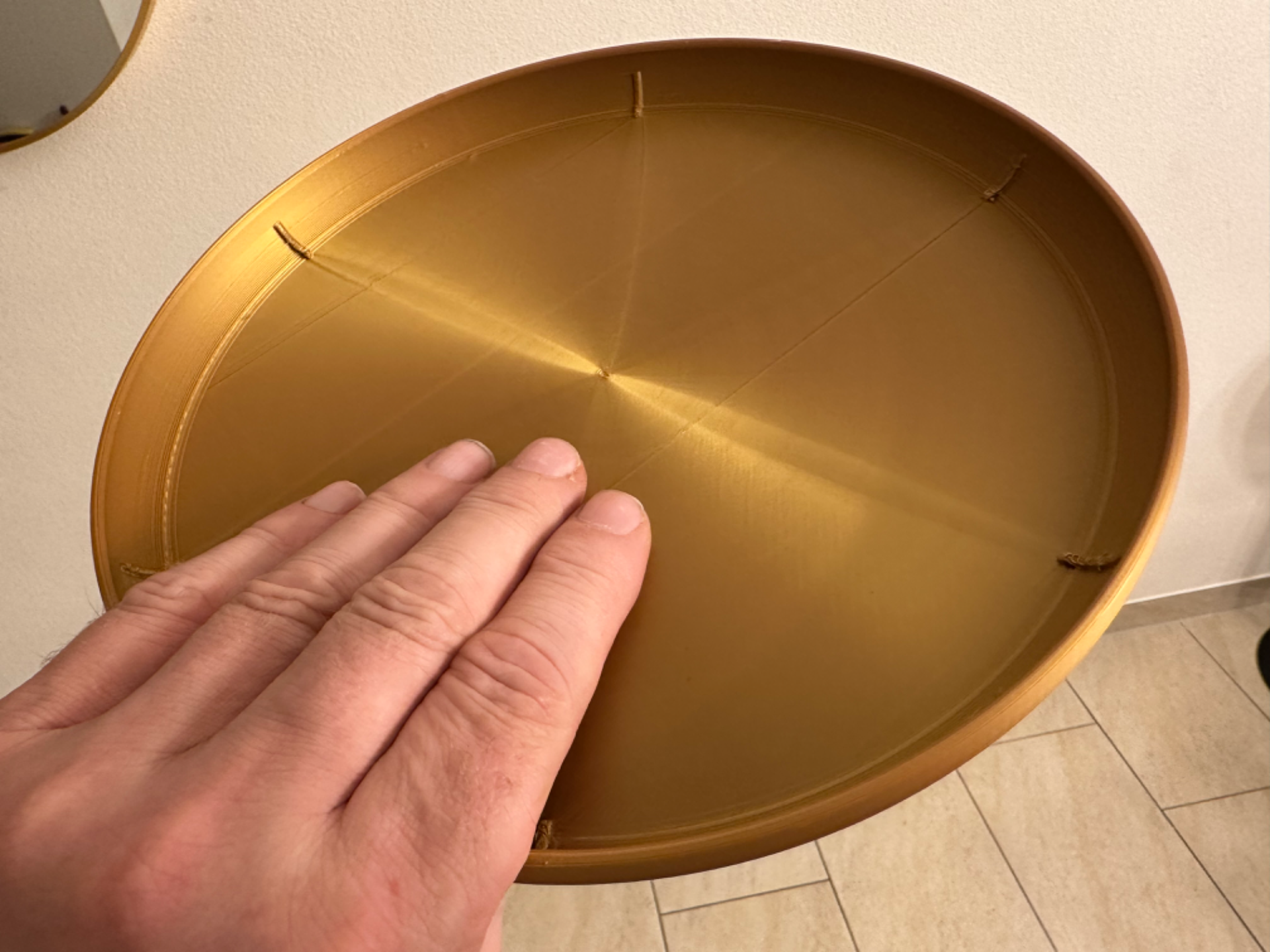 Frisbee Disc