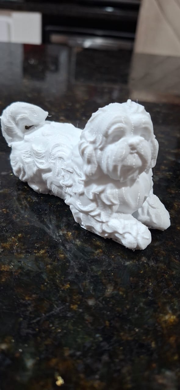 Shih Tzu cachorro