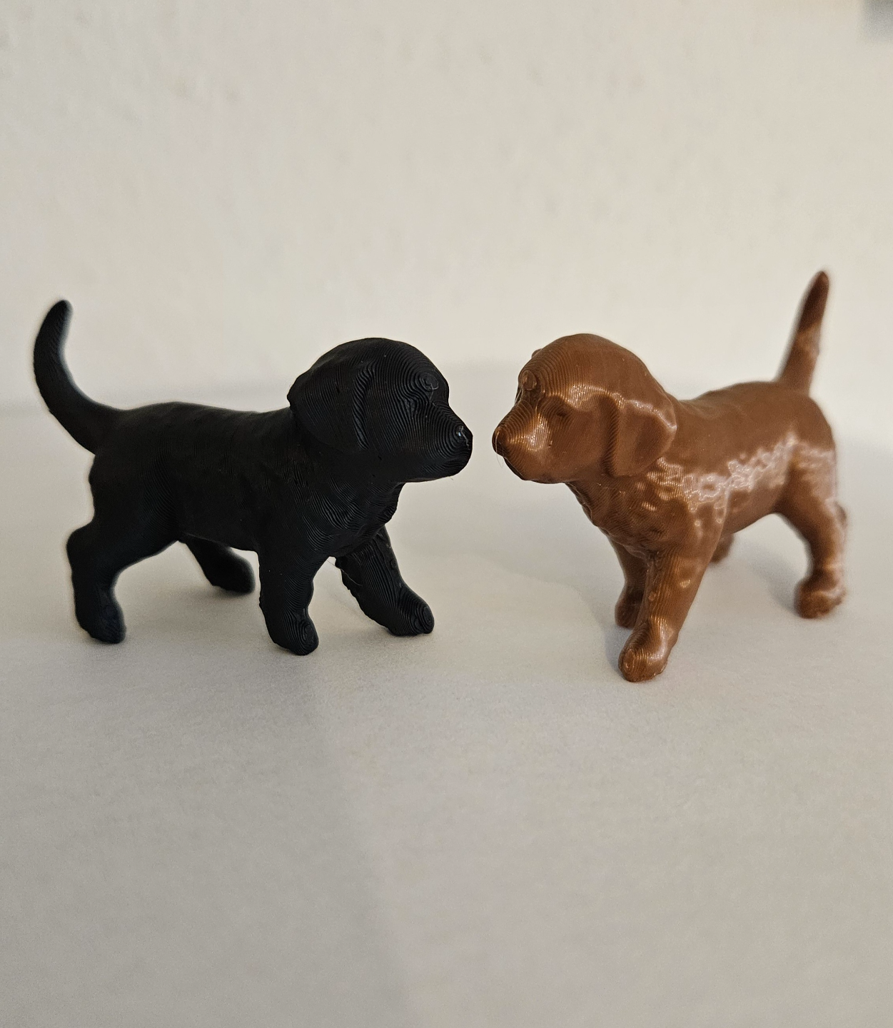 kleiner Hund - little Dog