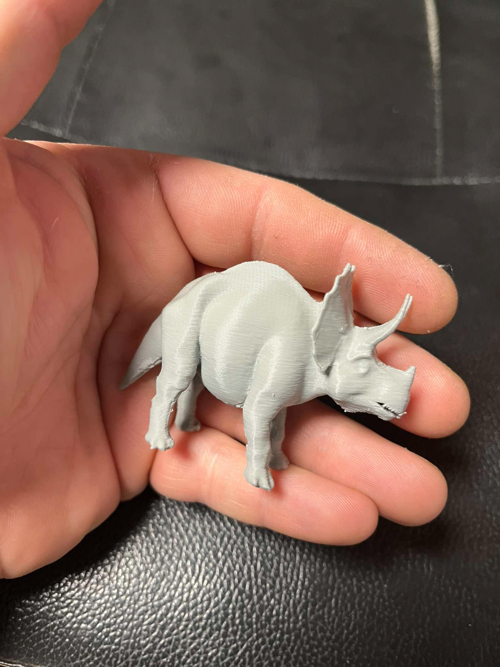 Triceratops dinosaur