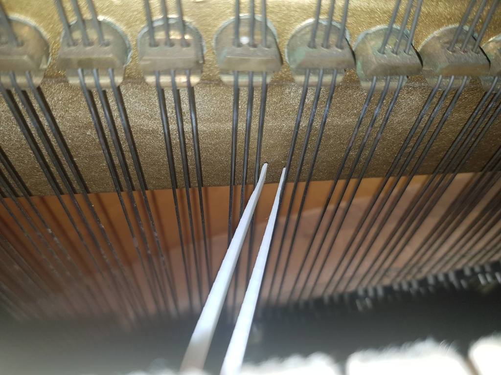 Treble (Papp's) Piano Mute