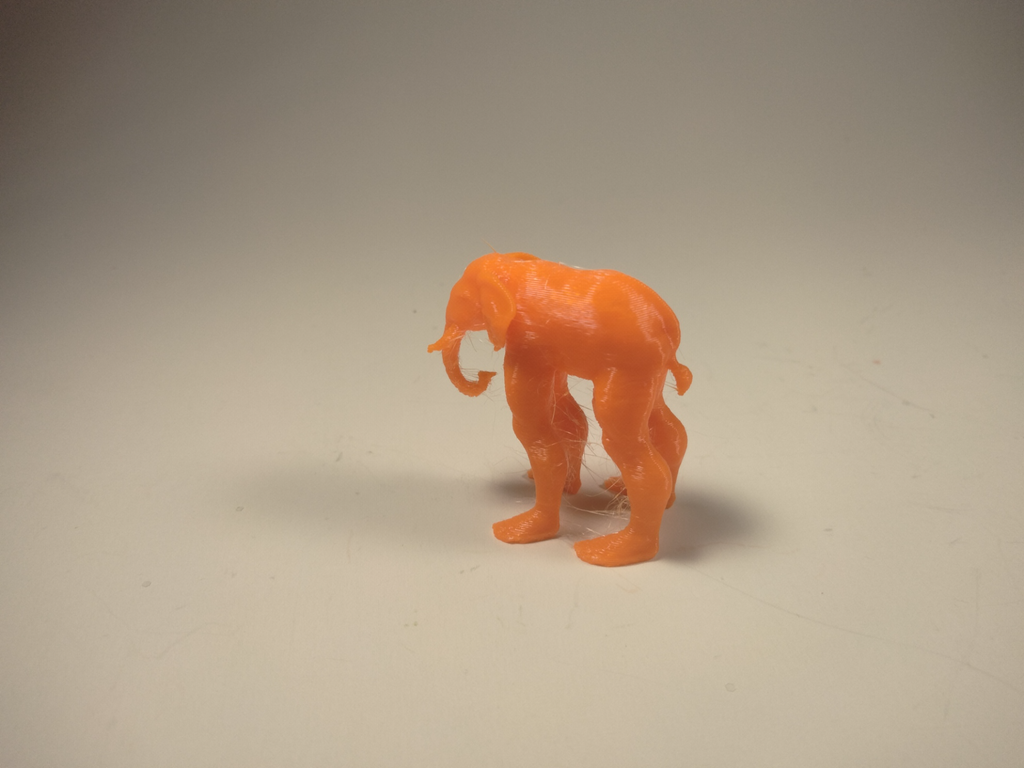 Handsome Elephant man