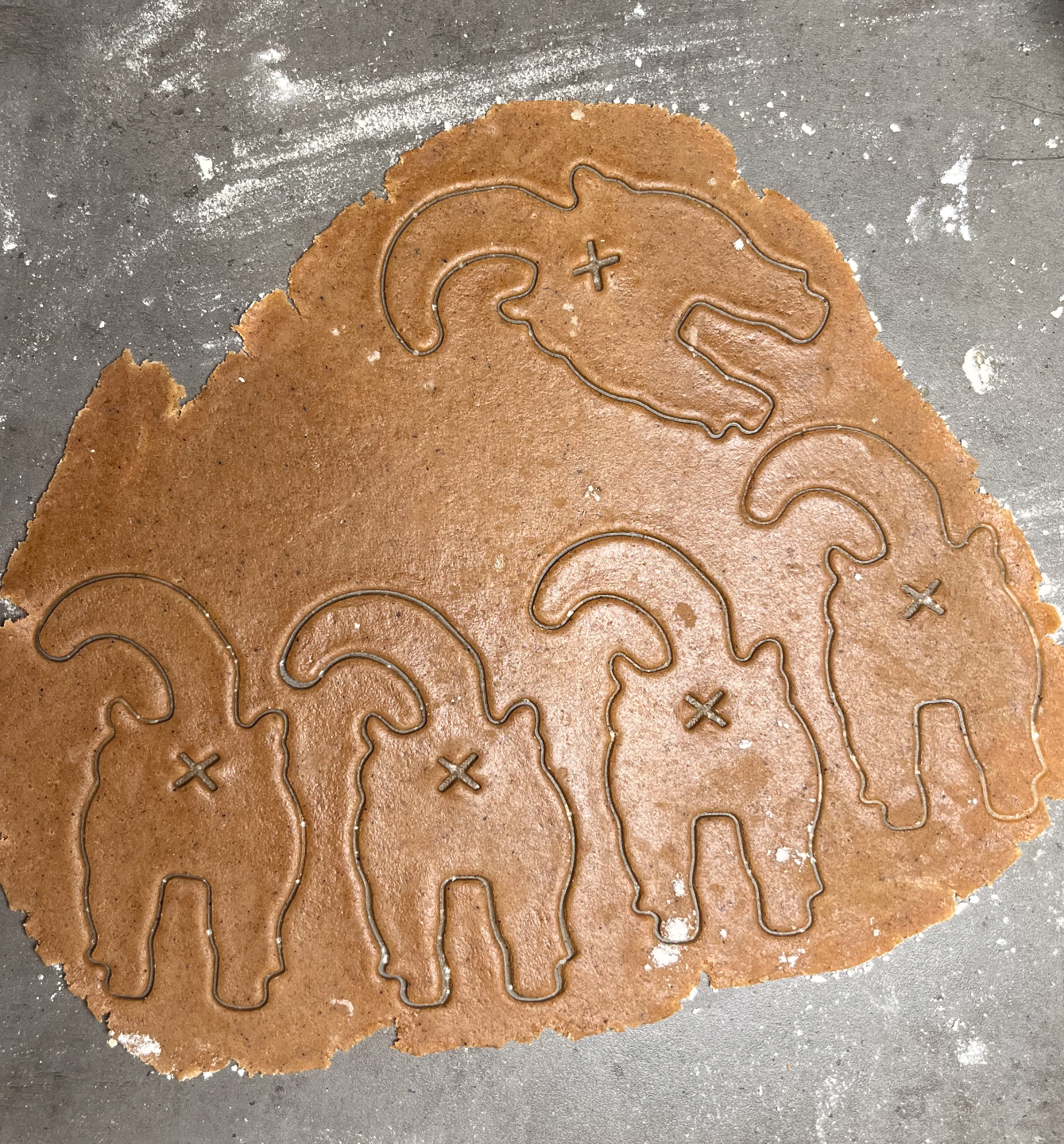 Cat cookie cutter