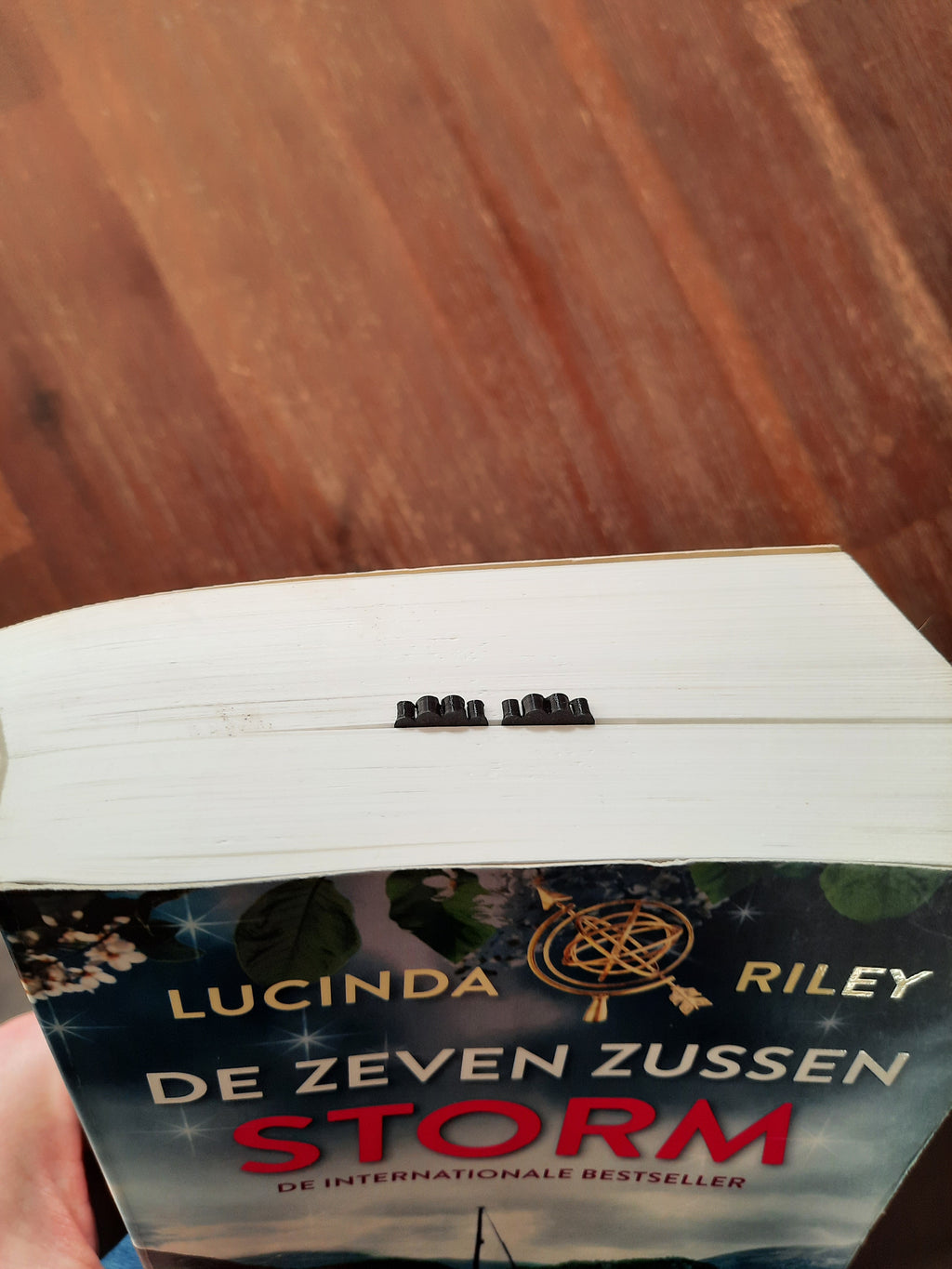 The Hanging Cat Bookmark