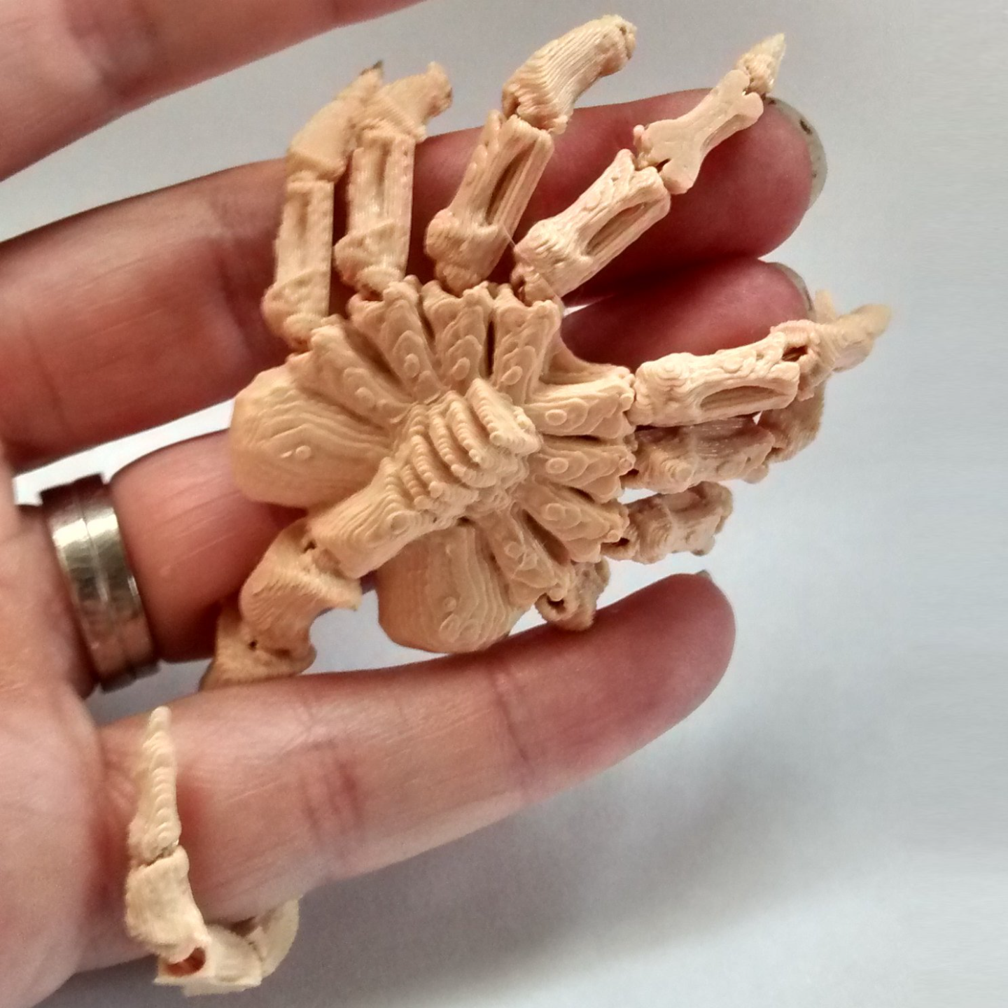 Mini Face Hugger
