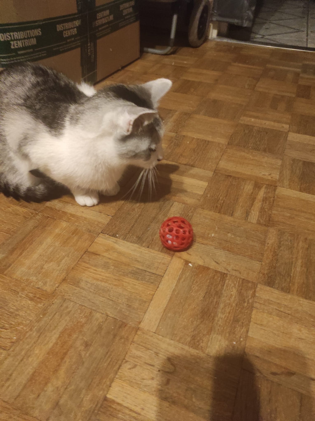 Cat toy flush poop ball
