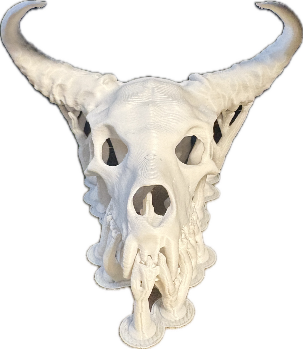 Animal skull with fang and horns