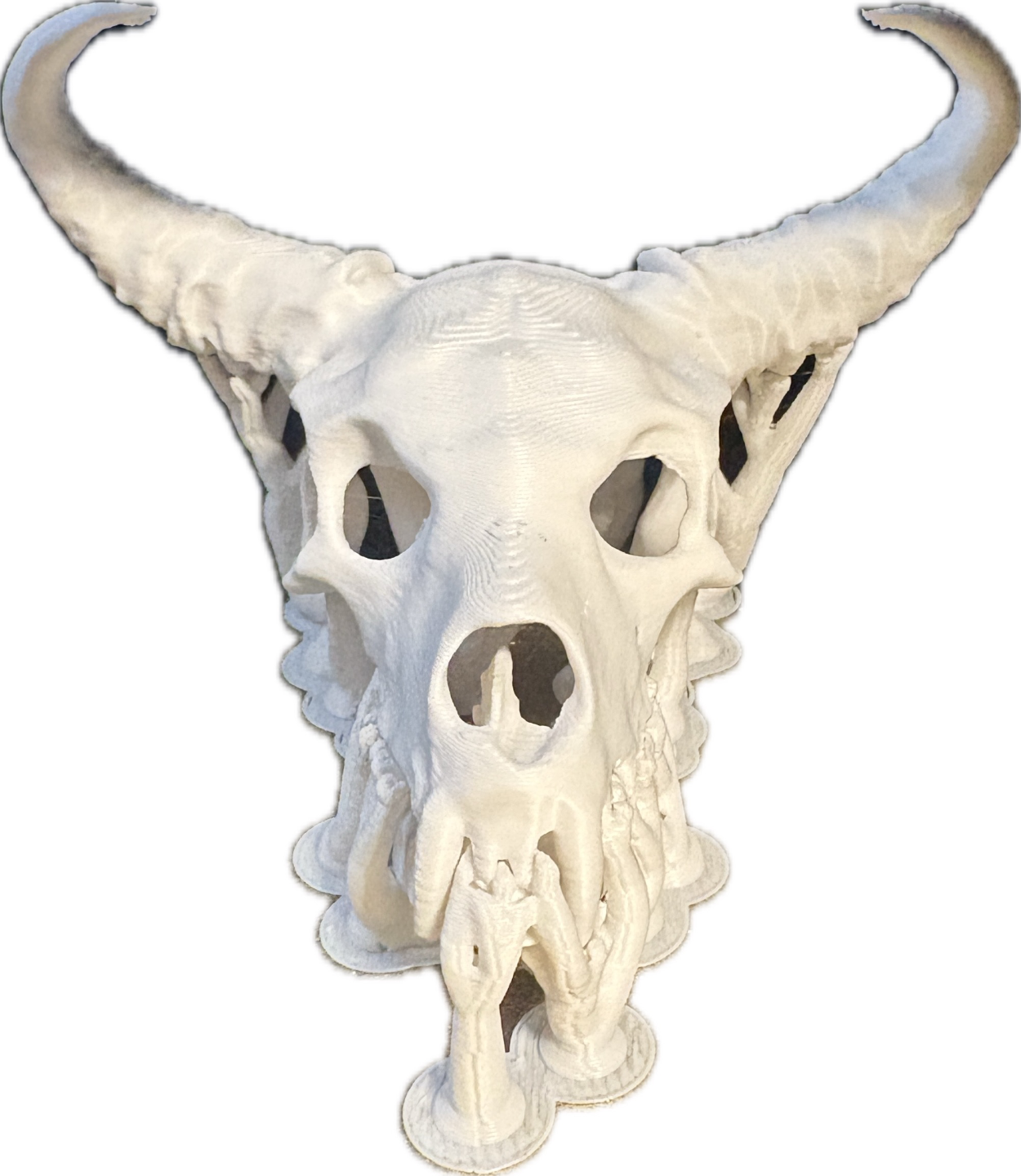 Animal skull with fang and horns