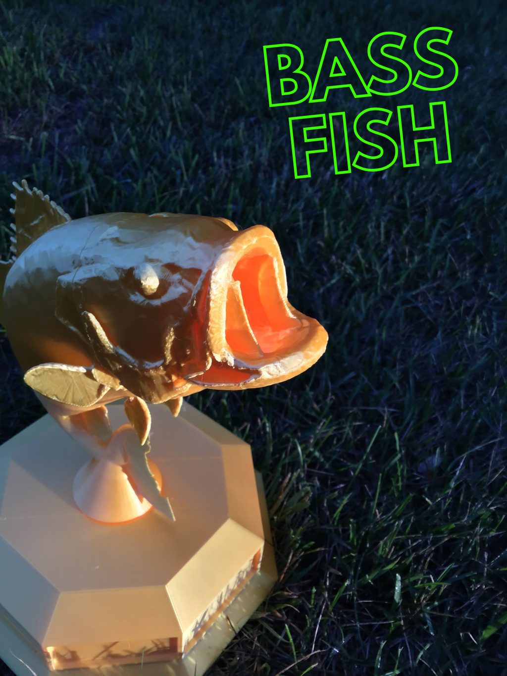 Fishing Trophy, Customizable
