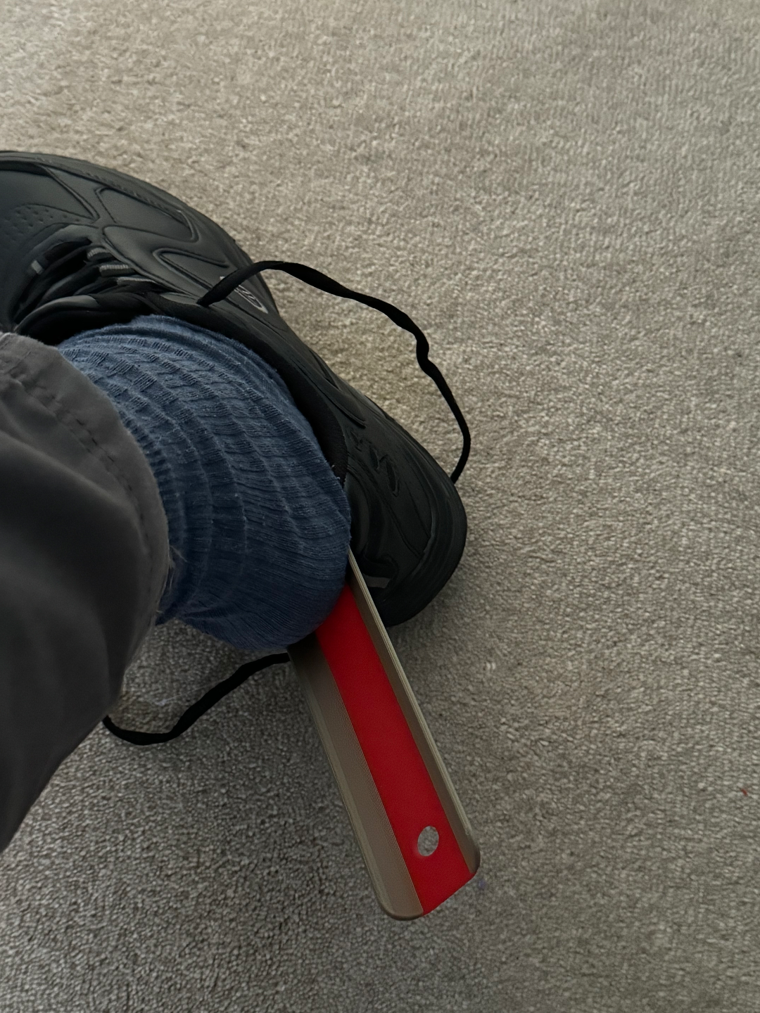 Shoe horn