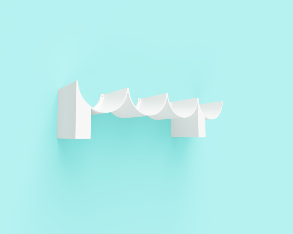 'Poop' toilet roll shelf