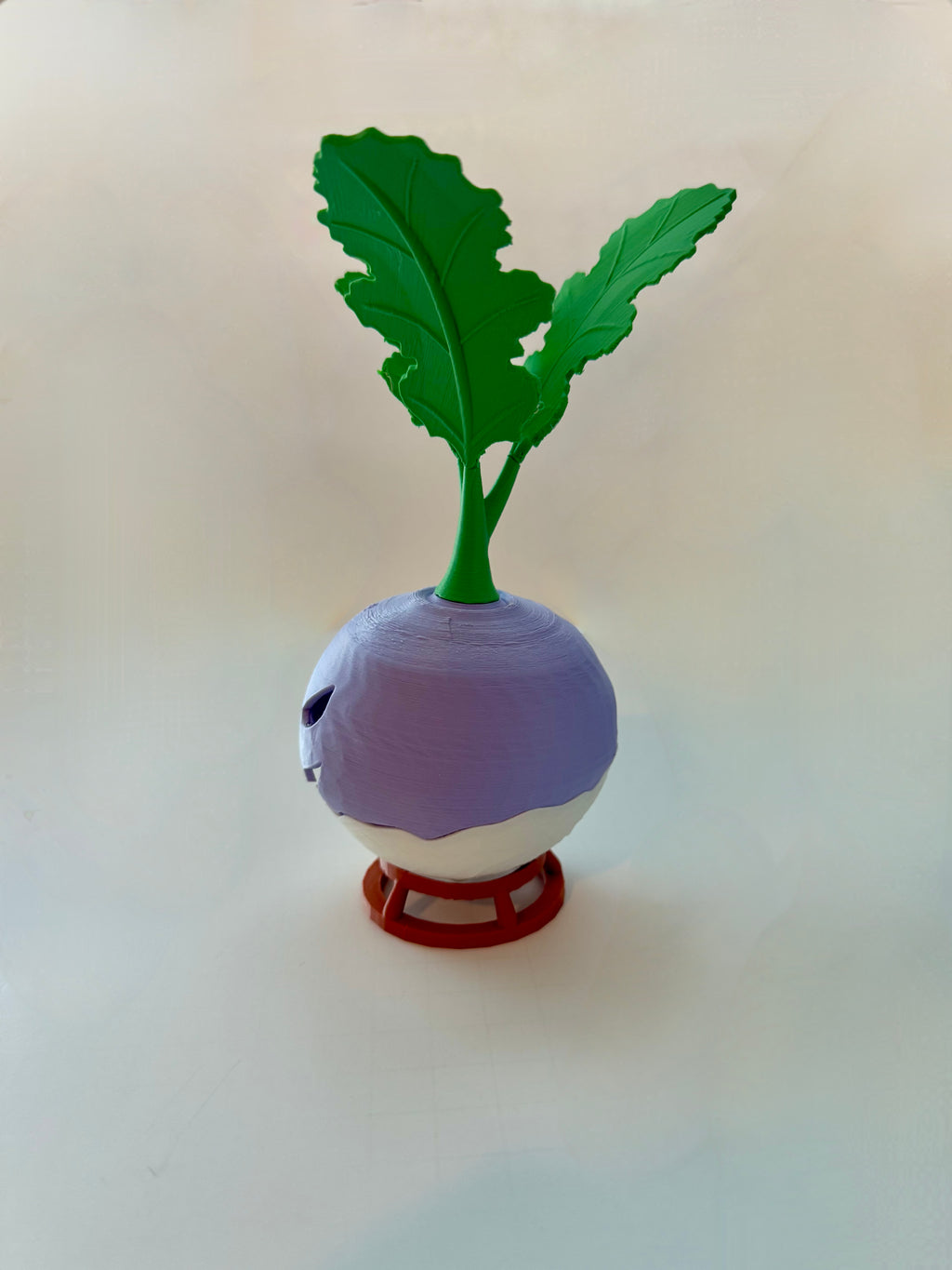 Jack-O’-Turnip