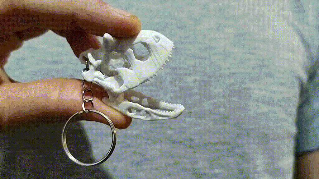 Llavero Craneo de Carnotaurus Sastrei