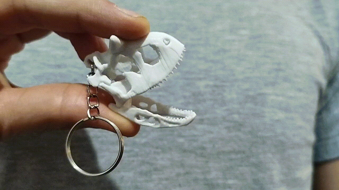 Llavero Craneo de Carnotaurus Sastrei