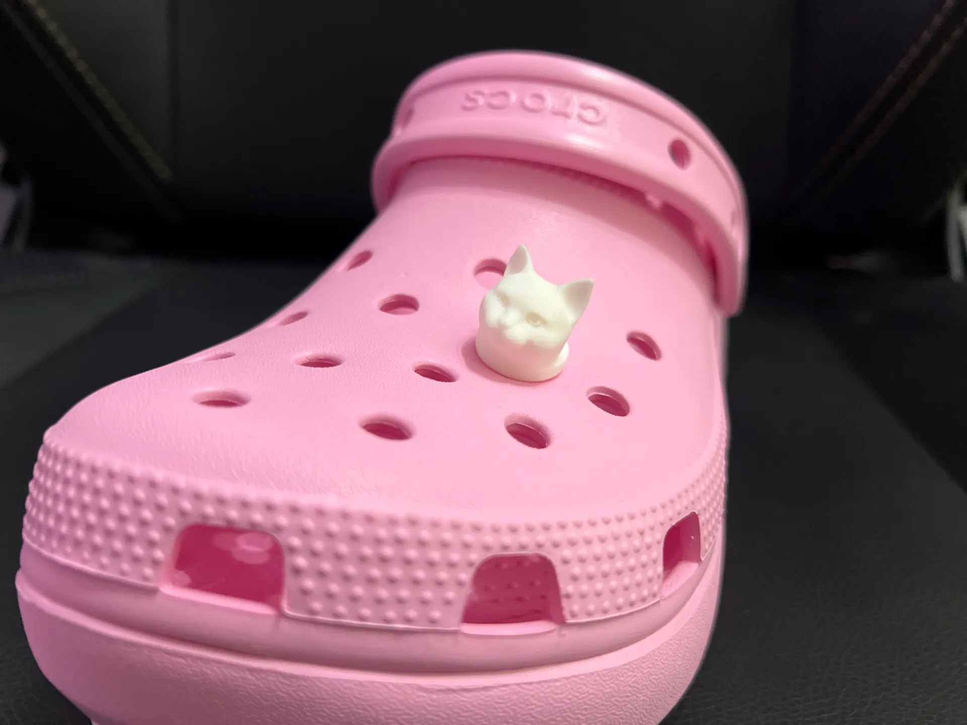 Cat Croc Charm