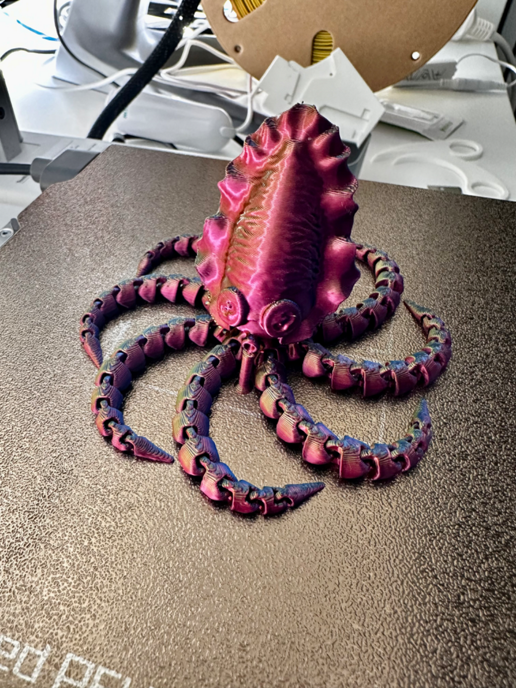 funny articulated Squid