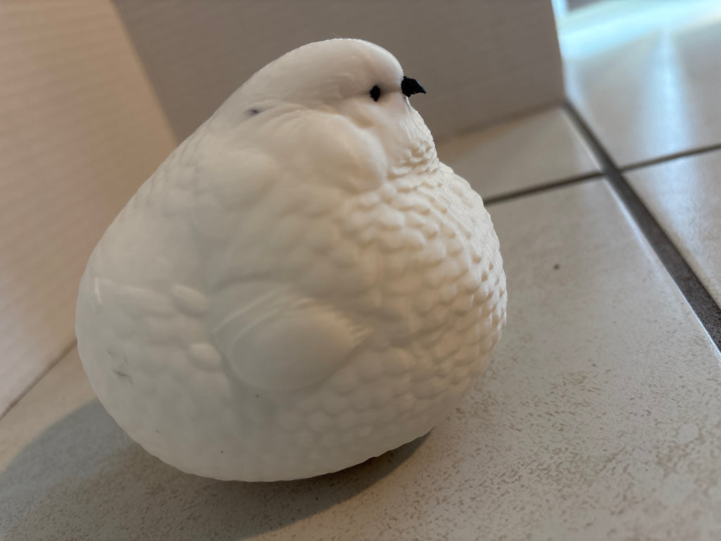 FAT Bird