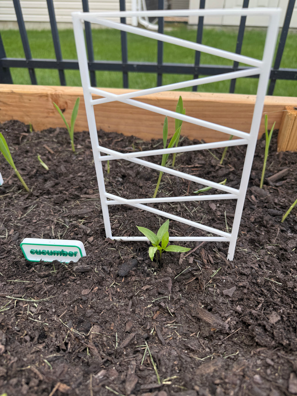 plant support fence