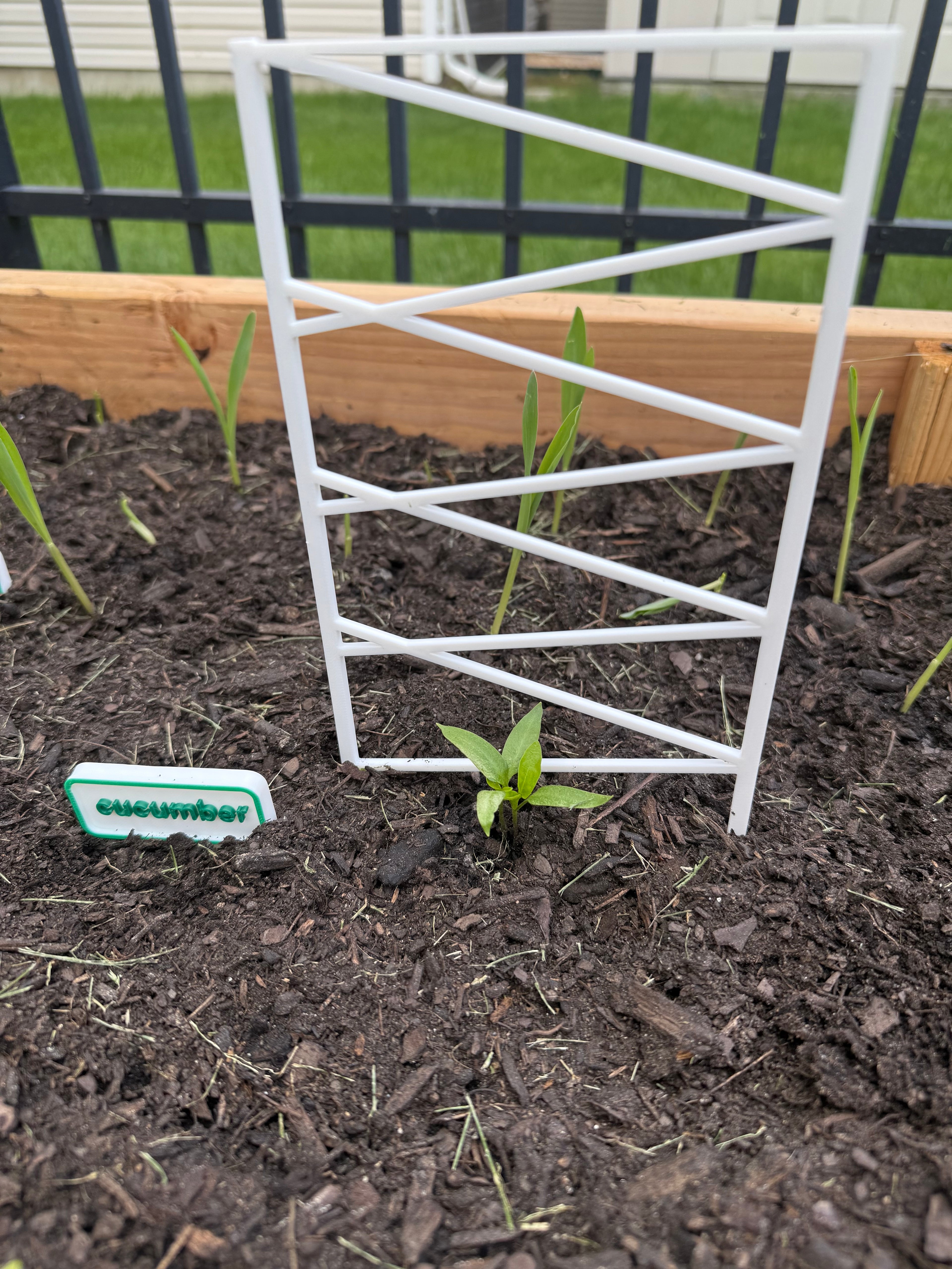 plant support fence