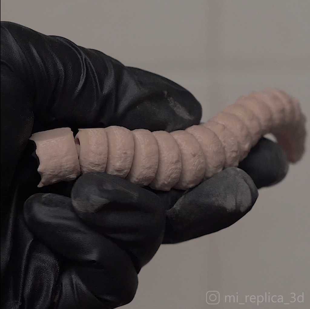 Dune Flexi Sandworm. Print in Place. Support Free.