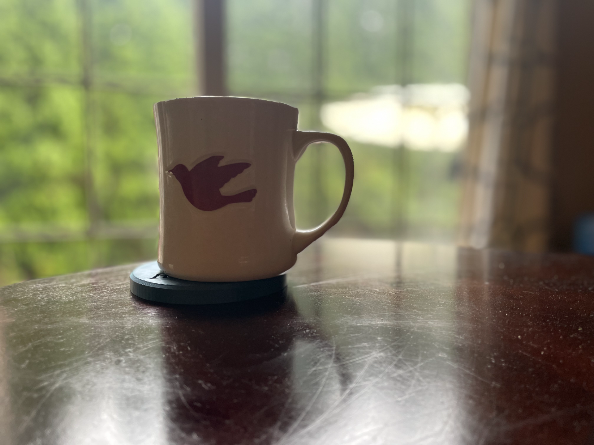 Formula Coaster