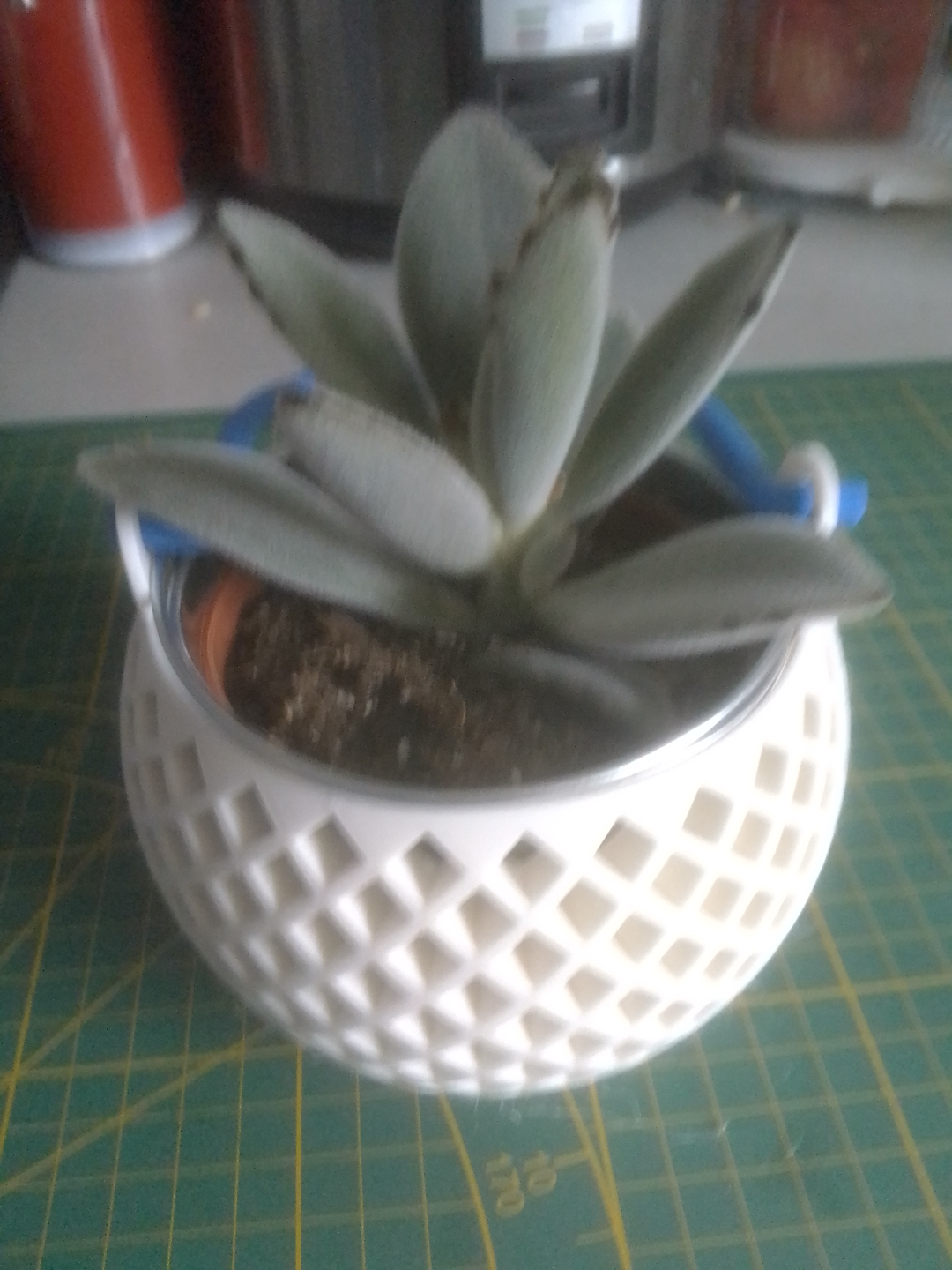 Plant pot with handle