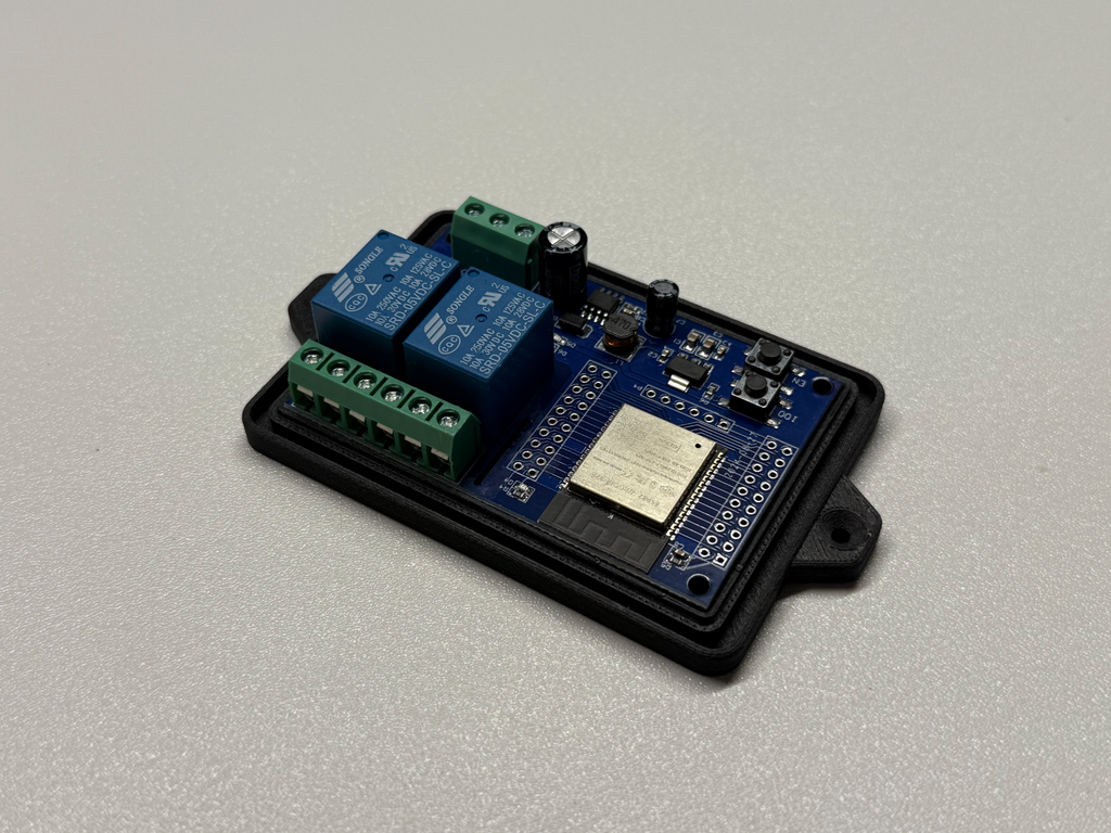 ESP32 Relay X2 with WL101-341 433MHz enclosure