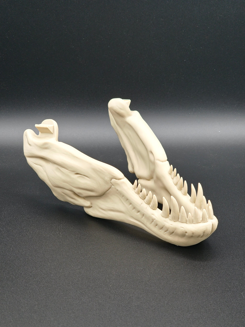 T-Rex Skull