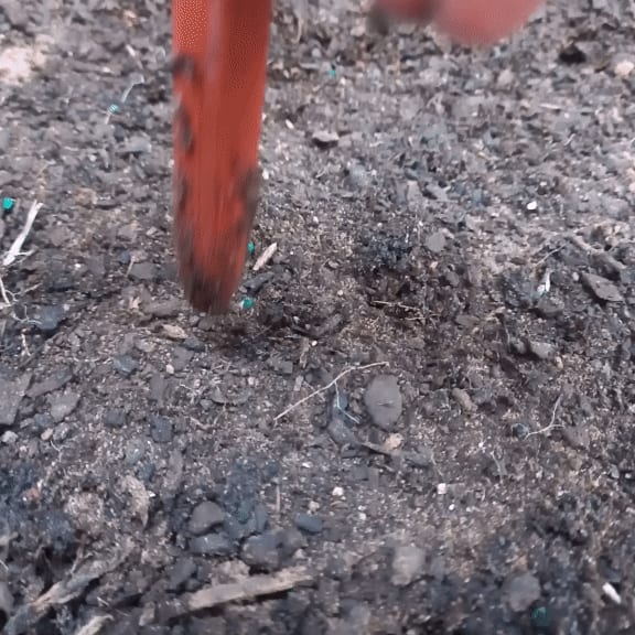 Garden Dibber