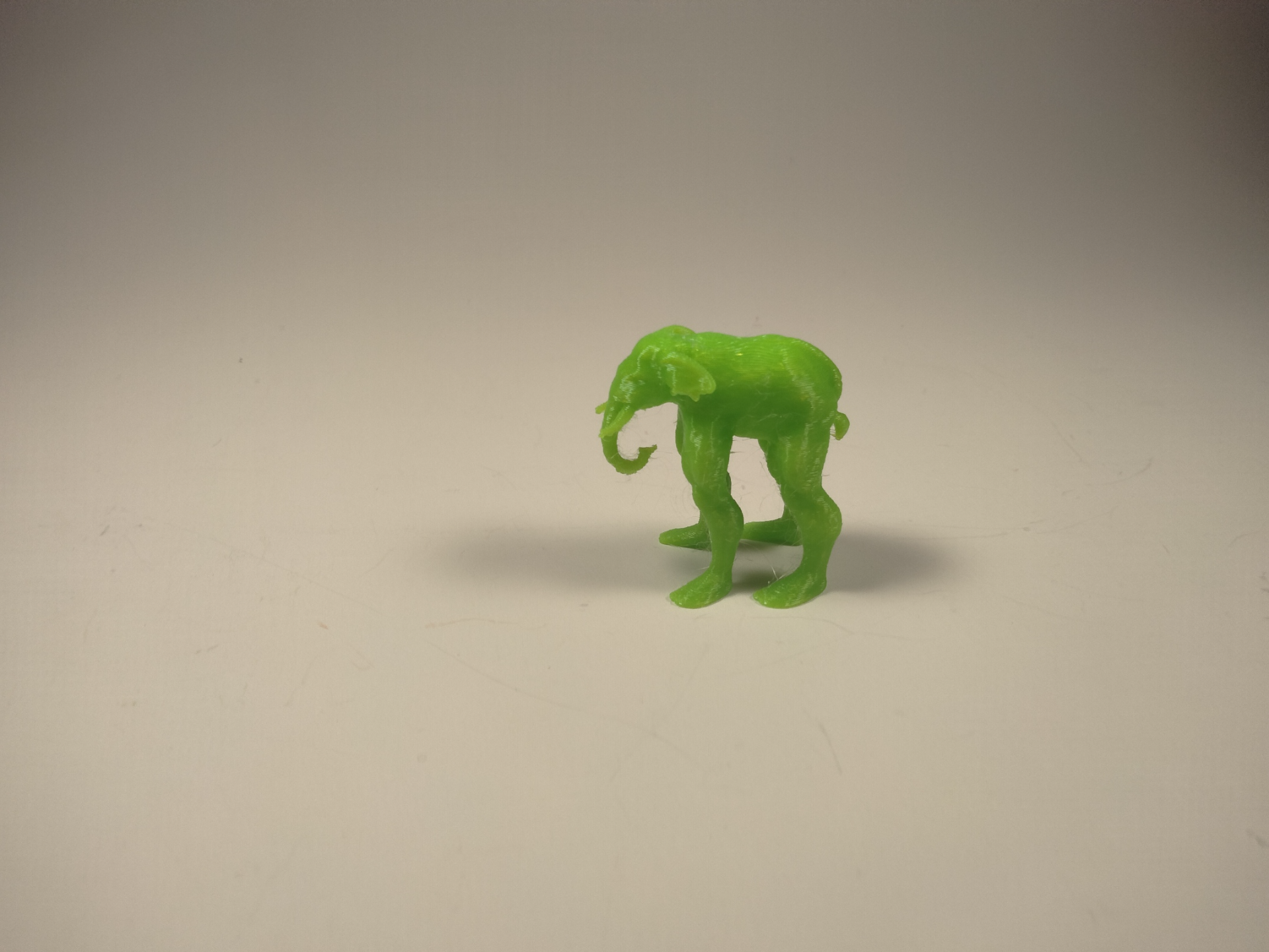 Handsome Elephant man