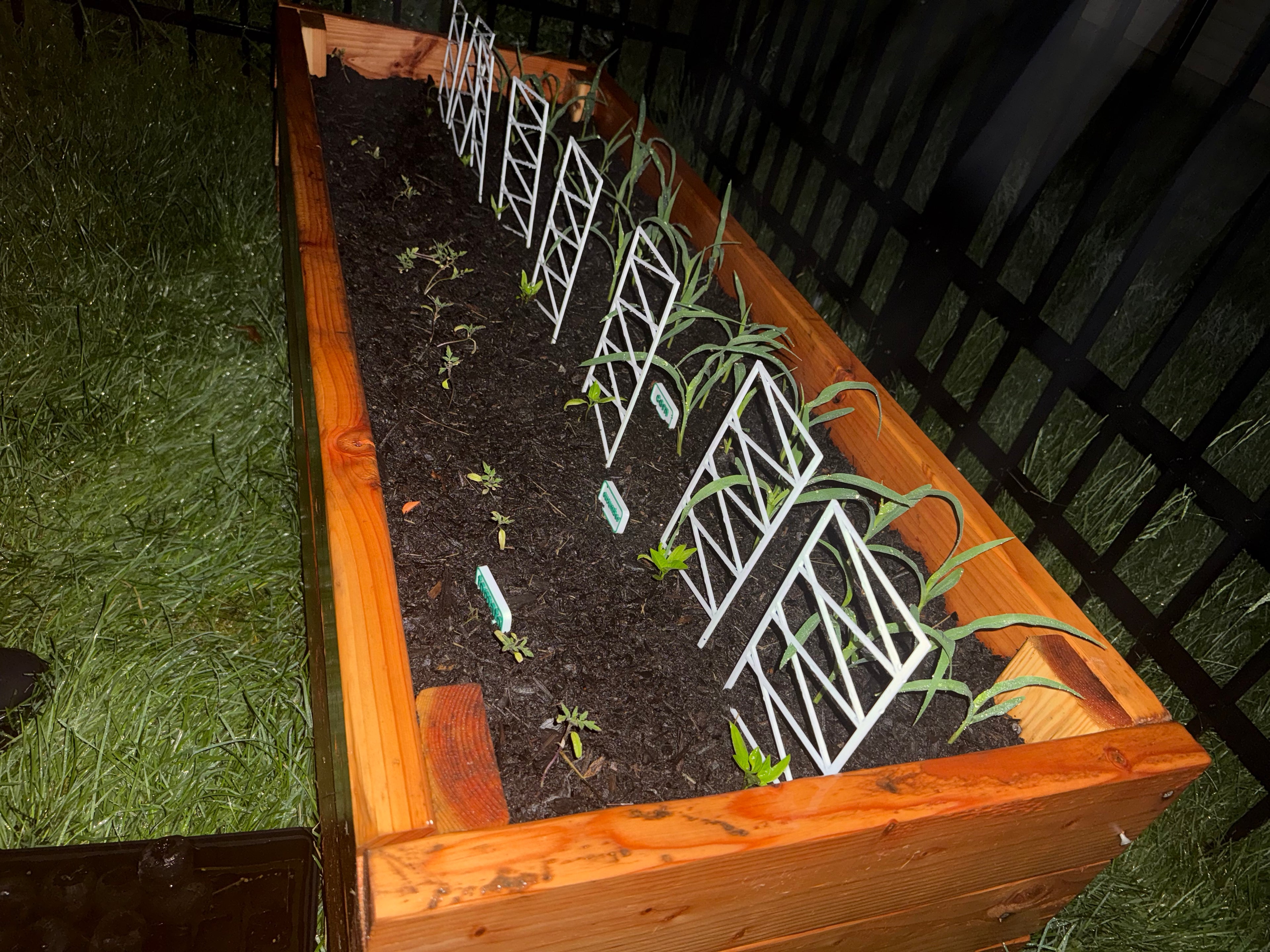 plant support fence