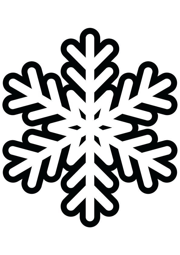 frozen cookie cutter and stamps set of 7