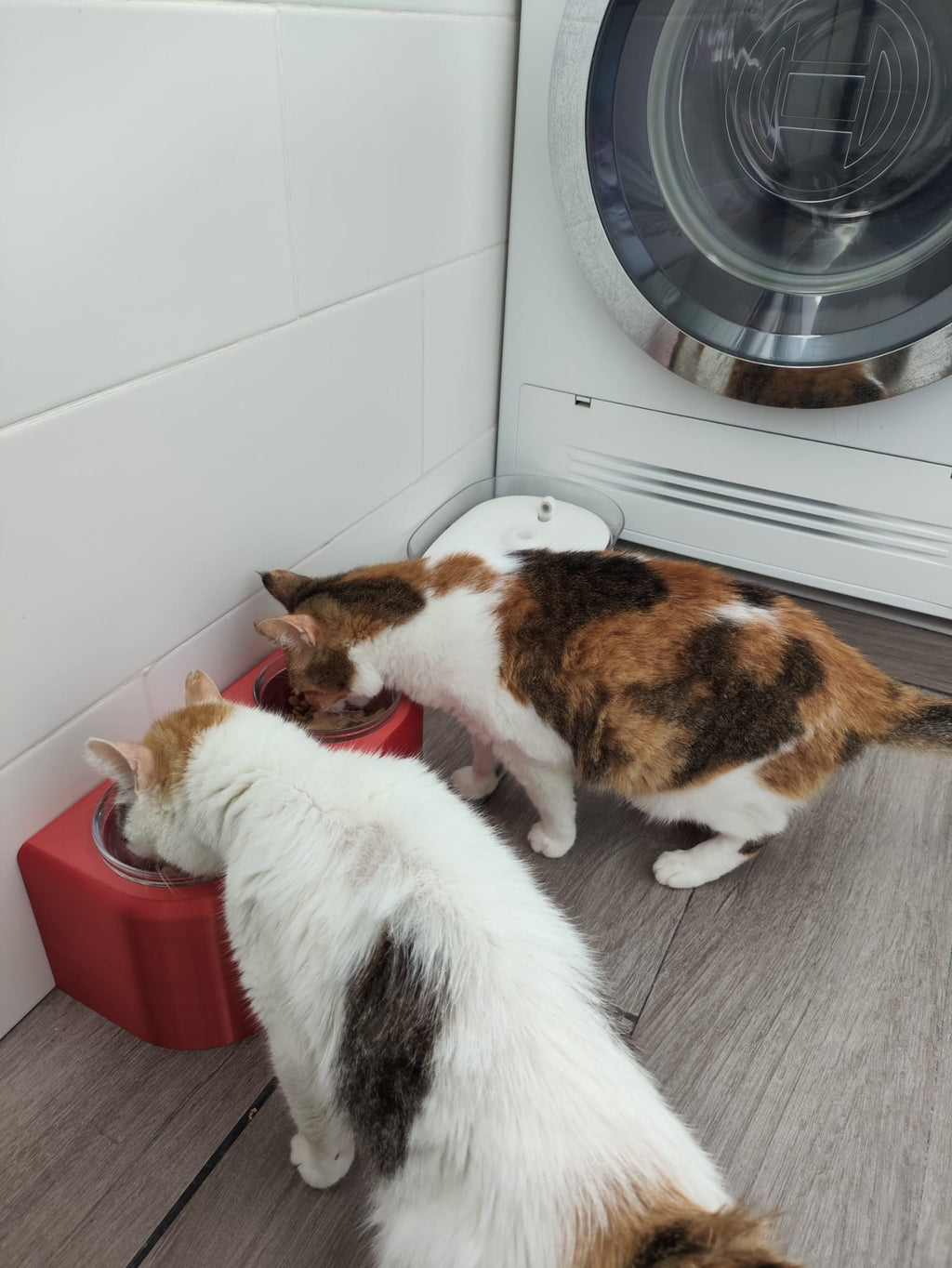 Comedero alto para gatos o perros pequeños