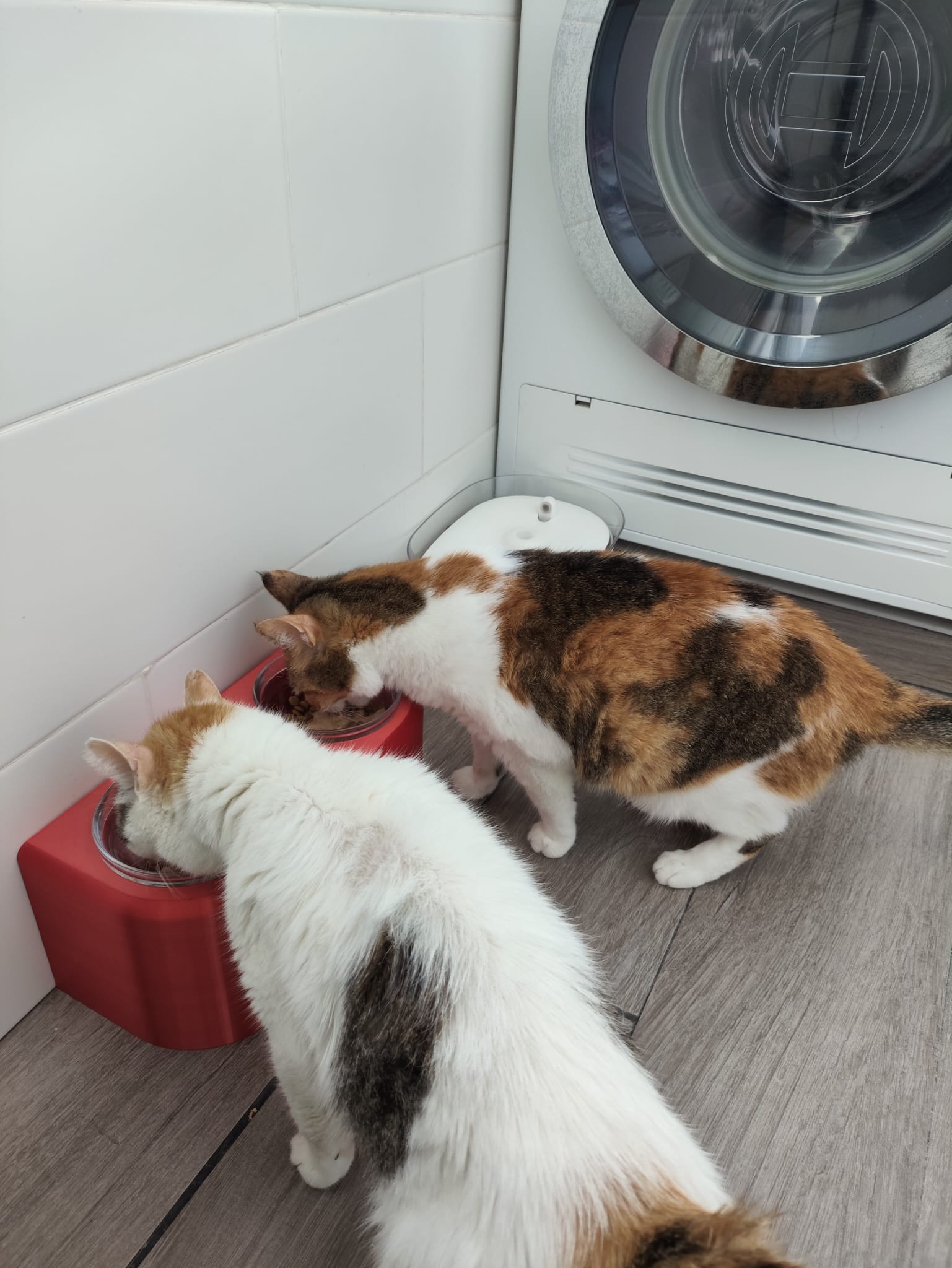 Comedero alto para gatos o perros pequeños
