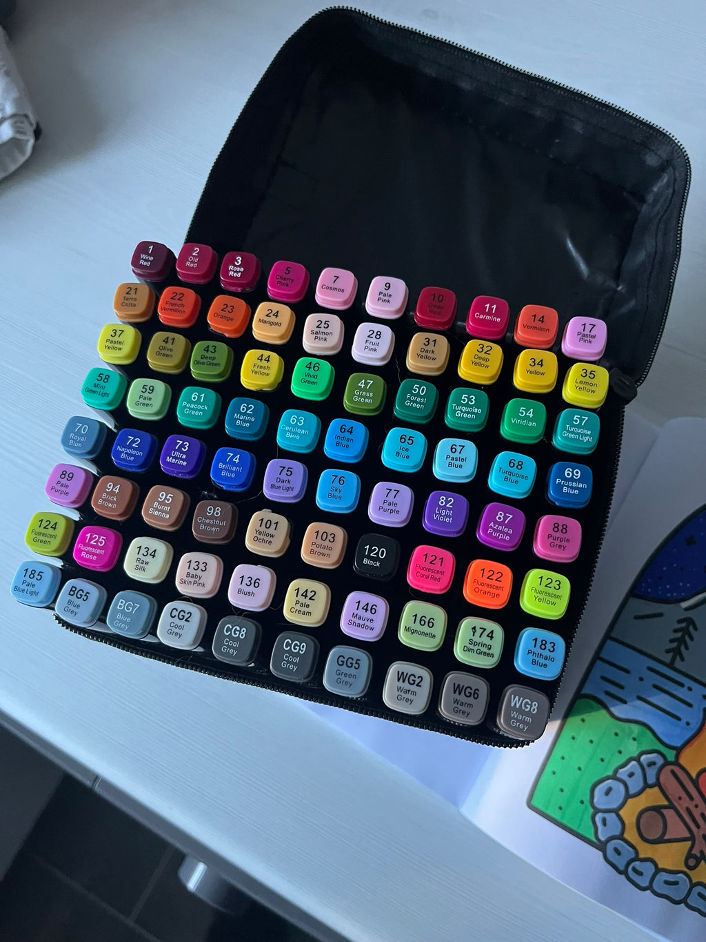 TikTok 80pcs Colouring Pen Divider