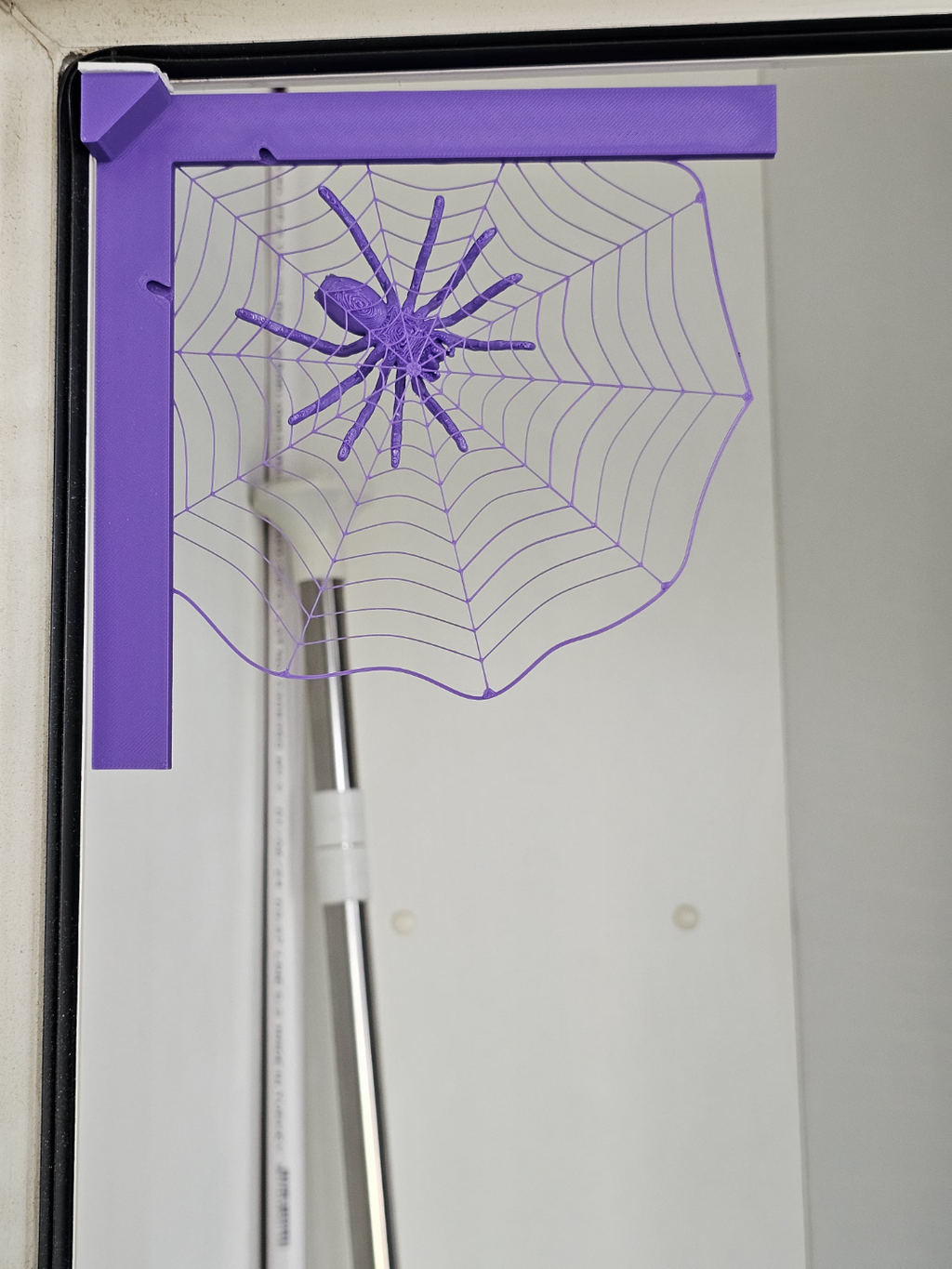 Spider in web