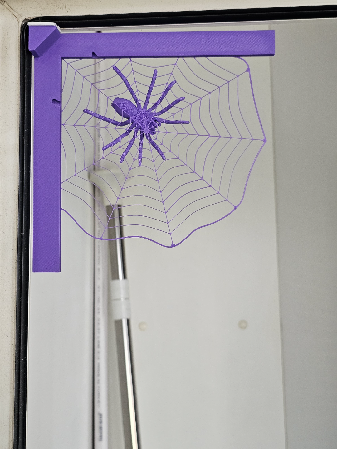 Spider in web