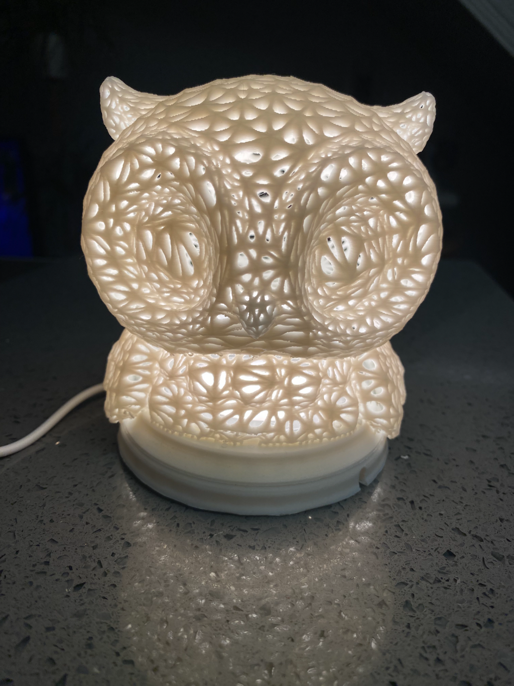owl LED lamp kit-001