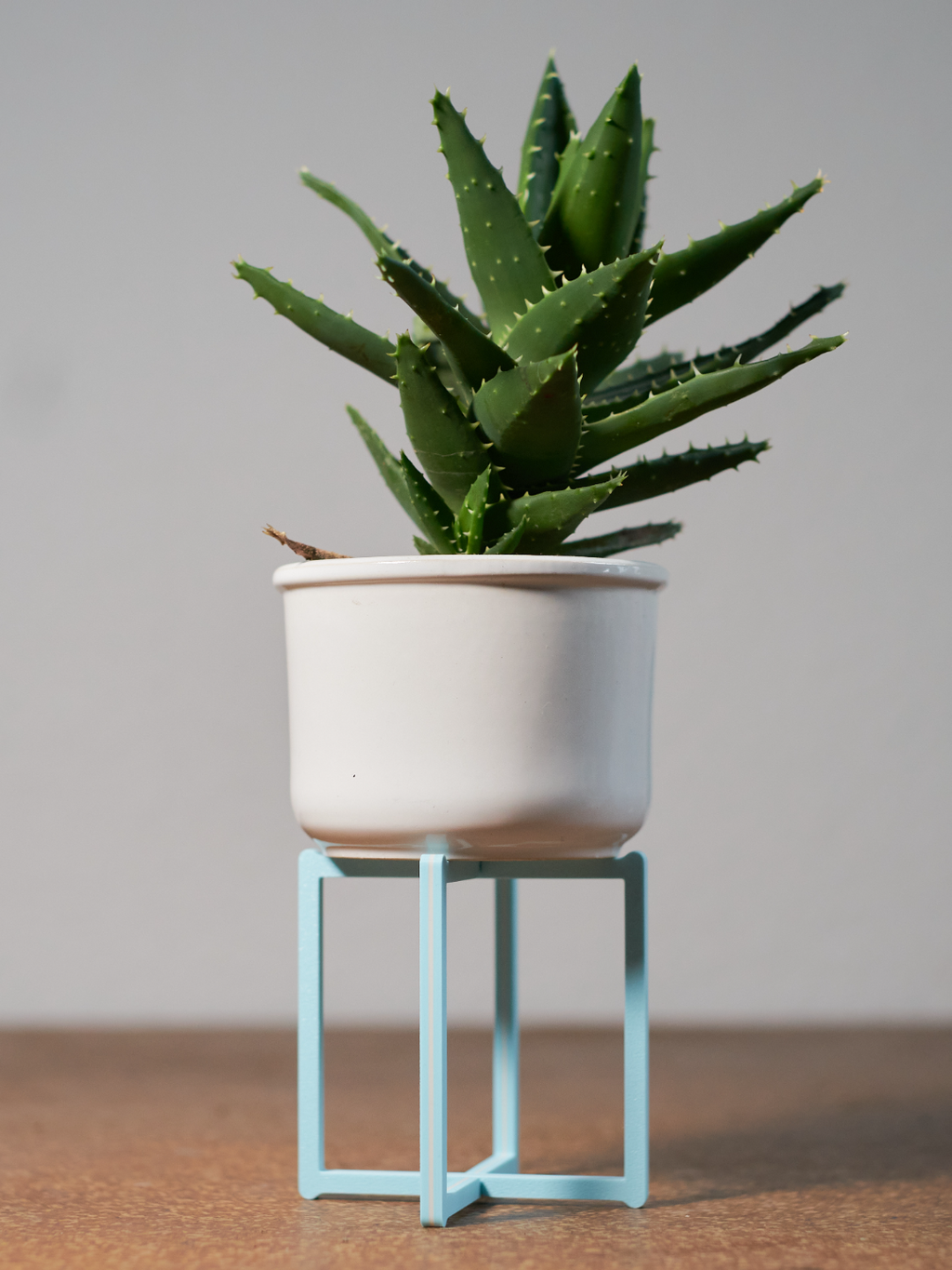 Snap Fit Planter Stands