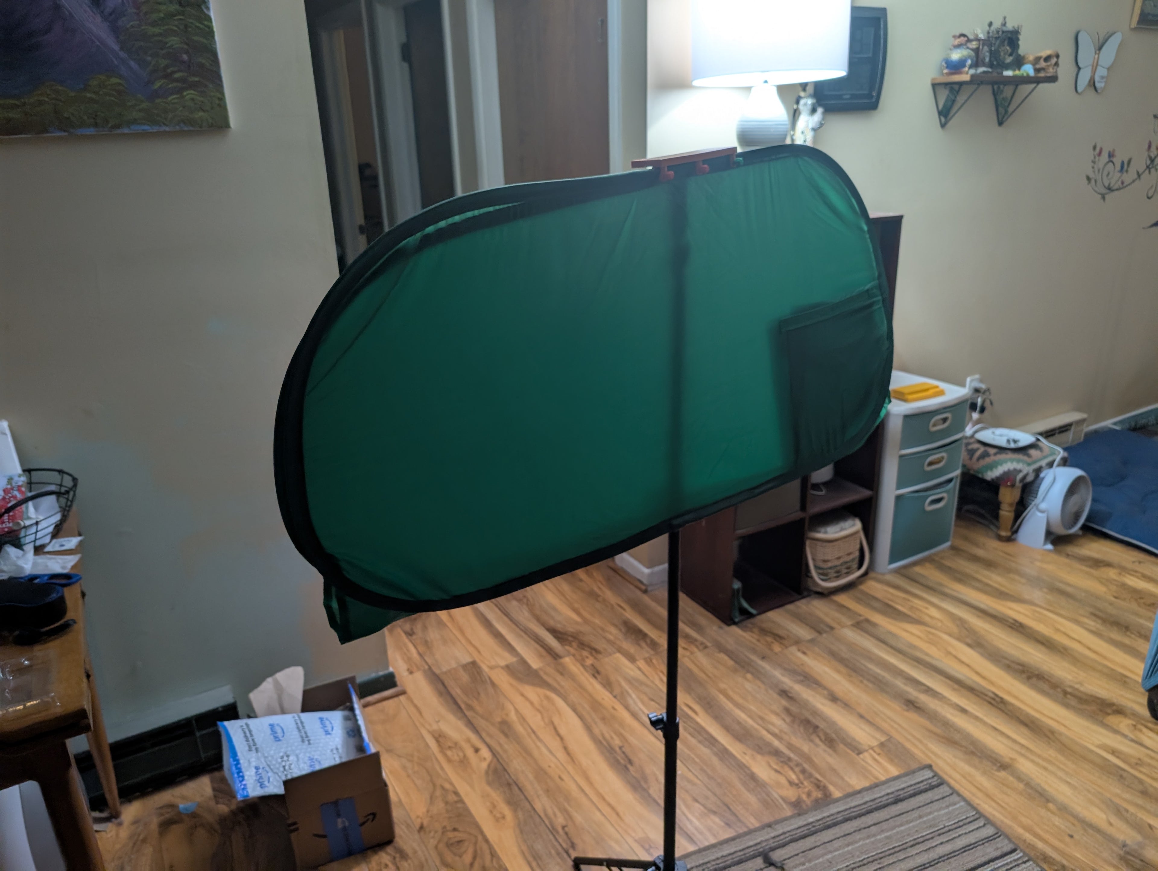 Tripod mounted green screen holder clip