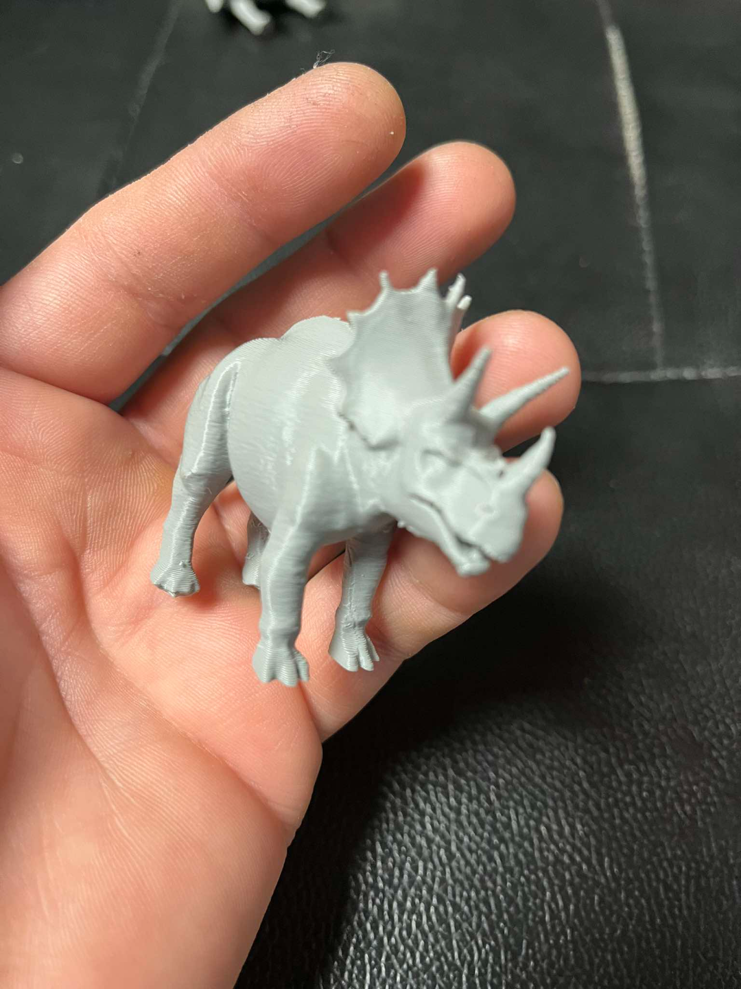 Triceratops dinosaur