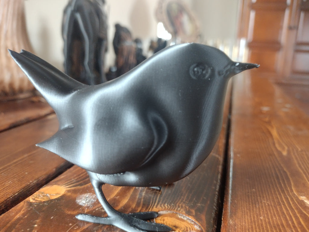 Standing Wren
