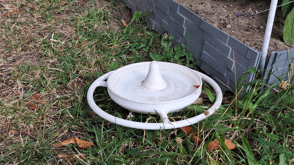 Simple Bird Water Bowl for Your Garden