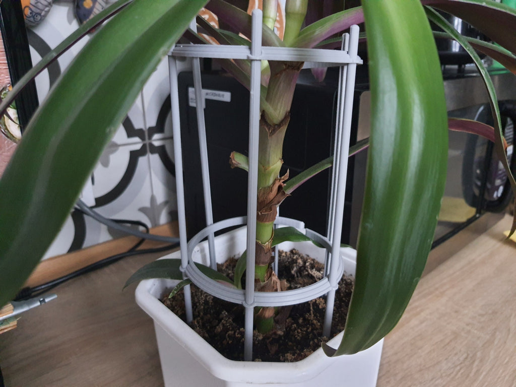 Parametric Plant Support