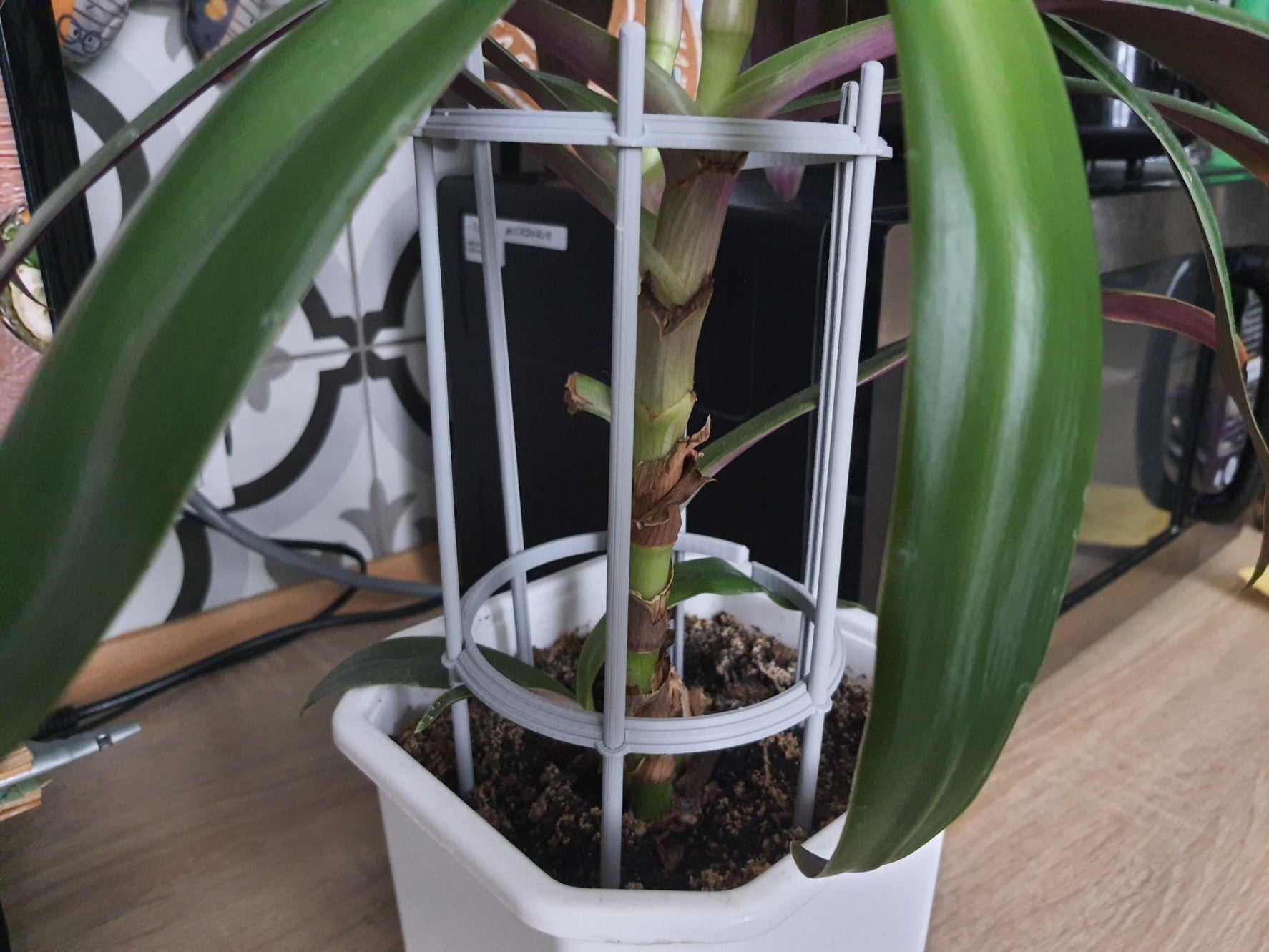 Parametric Plant Support