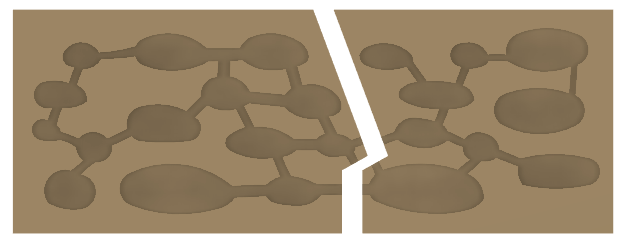 Ant Farm - Formicarium Insert