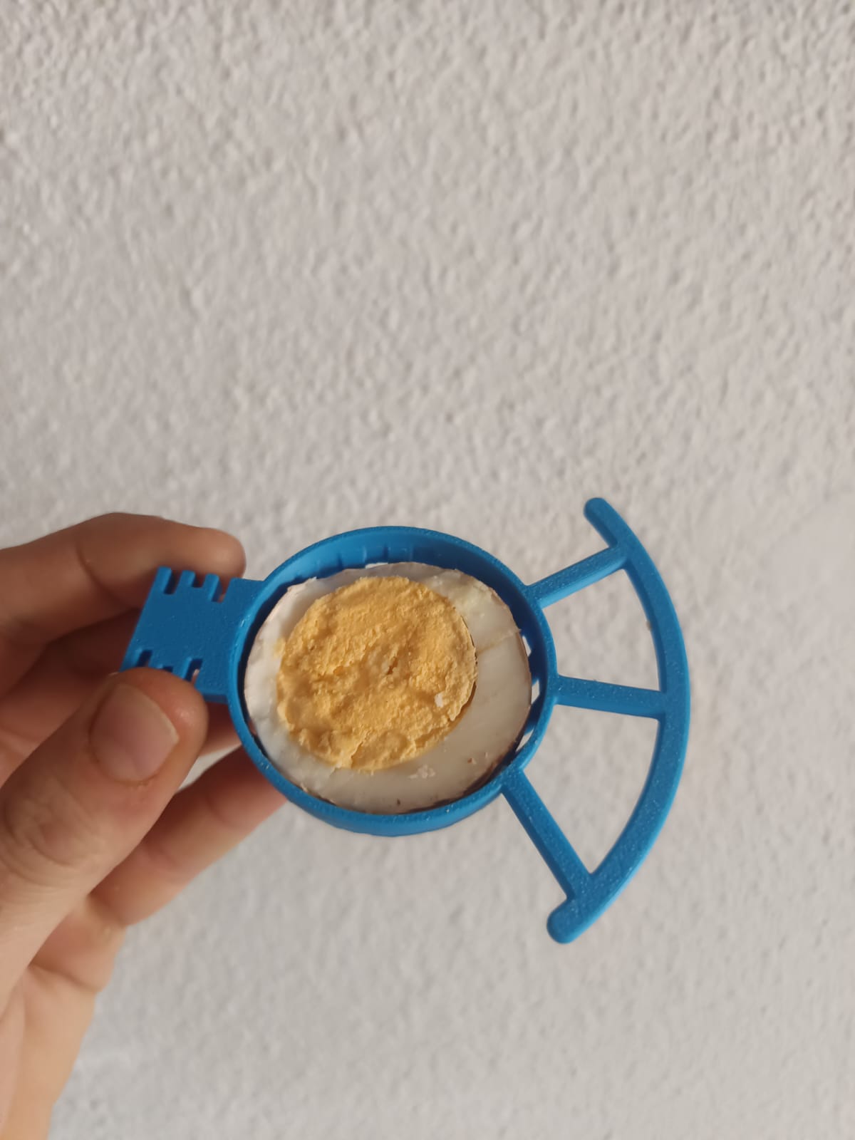 huevera para pajaros
