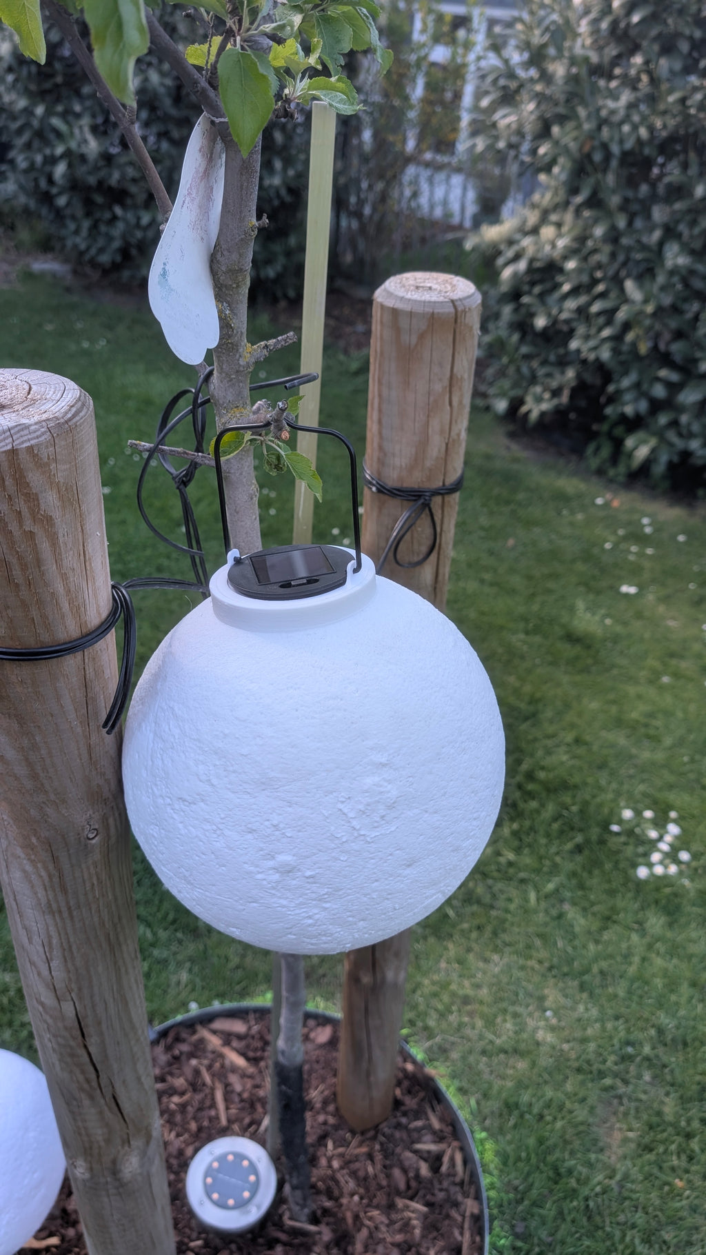 LED Mond Adapter
